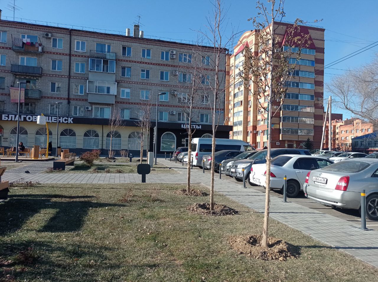 Новые крупномеры готовят к зиме в сквере «Бабочка»