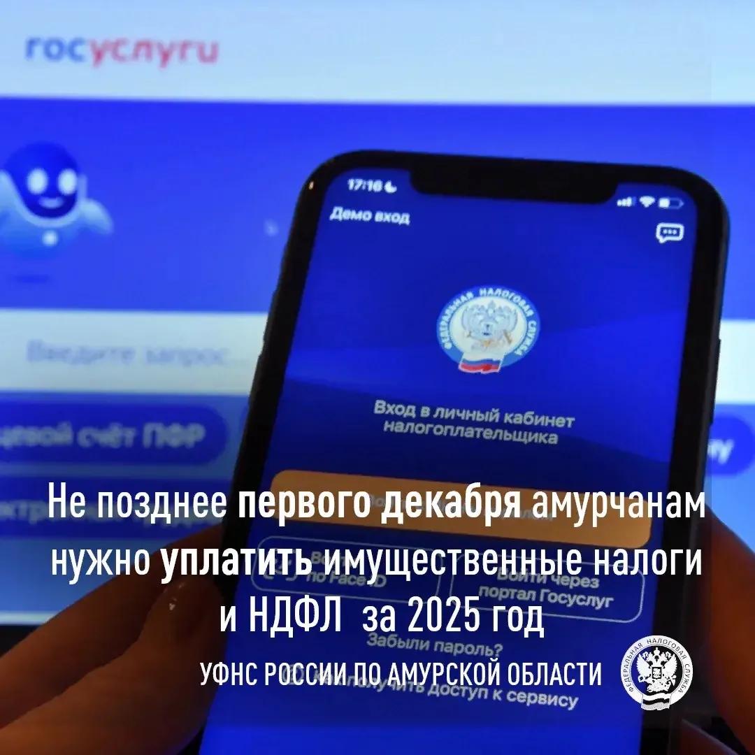 До 1 декабря владельцы имущества должны заплатить налог