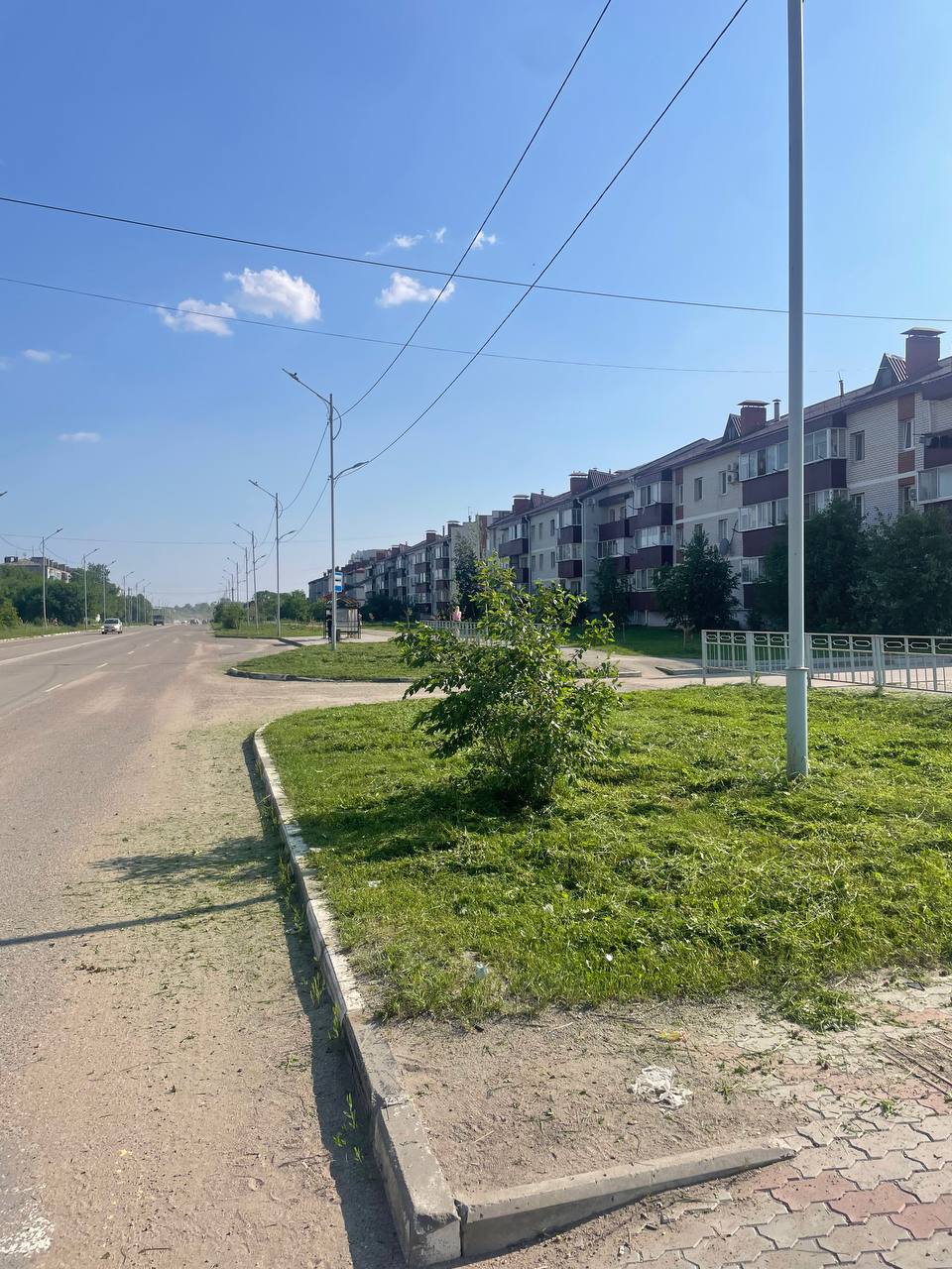 Благовещенск становится уютнее: где покосили траву на этой неделе?