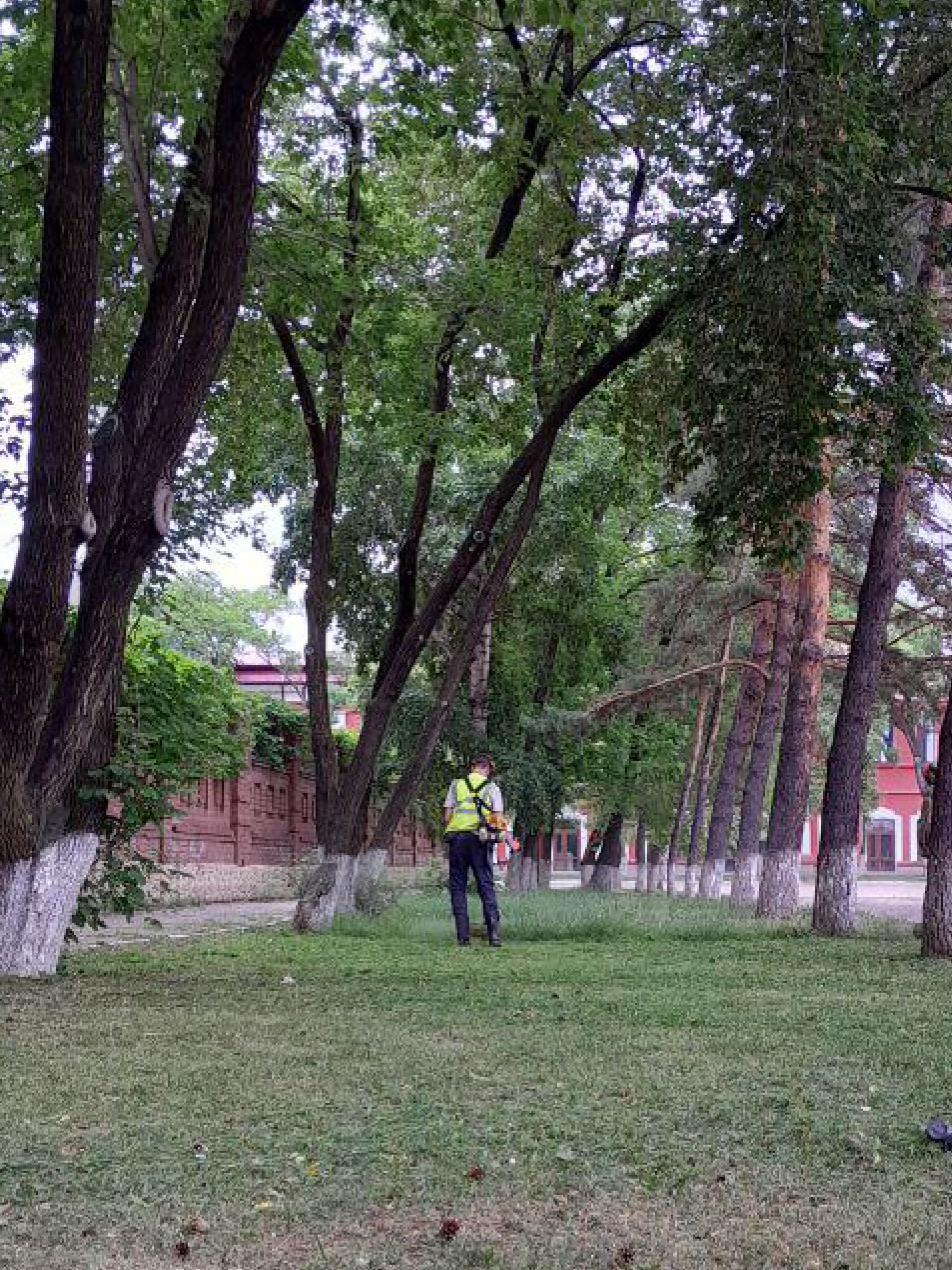 ГСТК скосил траву по Магистральной, Шимановского и Трудовой в Благовещенске ГСТК скосил траву по Магистральной, Шимановского и Трудовой в Благовещенске