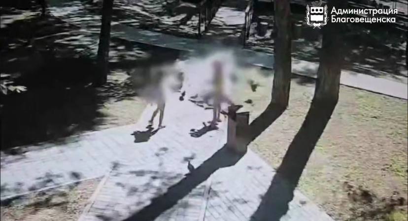 Невинная привычка с серьёзными последствиями: чем опасно кормление голубей в Благовещенске? Невинная привычка с серьёзными последствиями: чем опасно кормление голубей в Благовещенске?