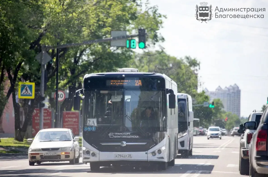 1 мая в Благовещенске запустят садовые маршруты 