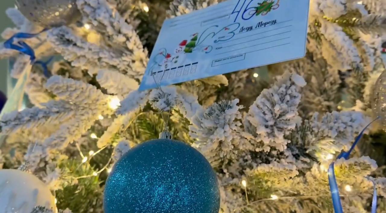 Мэр Благовещенска Олег Имамеев снял первое письмо с городской «Ёлки желаний» 