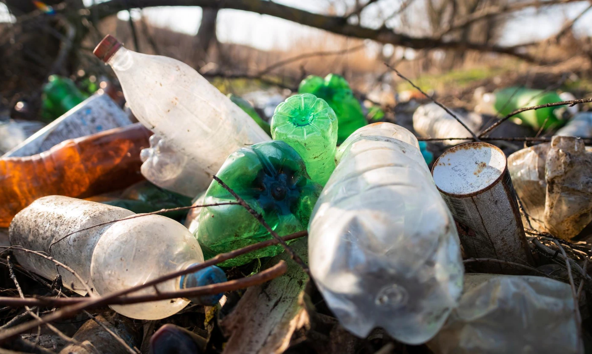 С начала года в Благовещенске ликвидировали 137 несанкционированных свалок