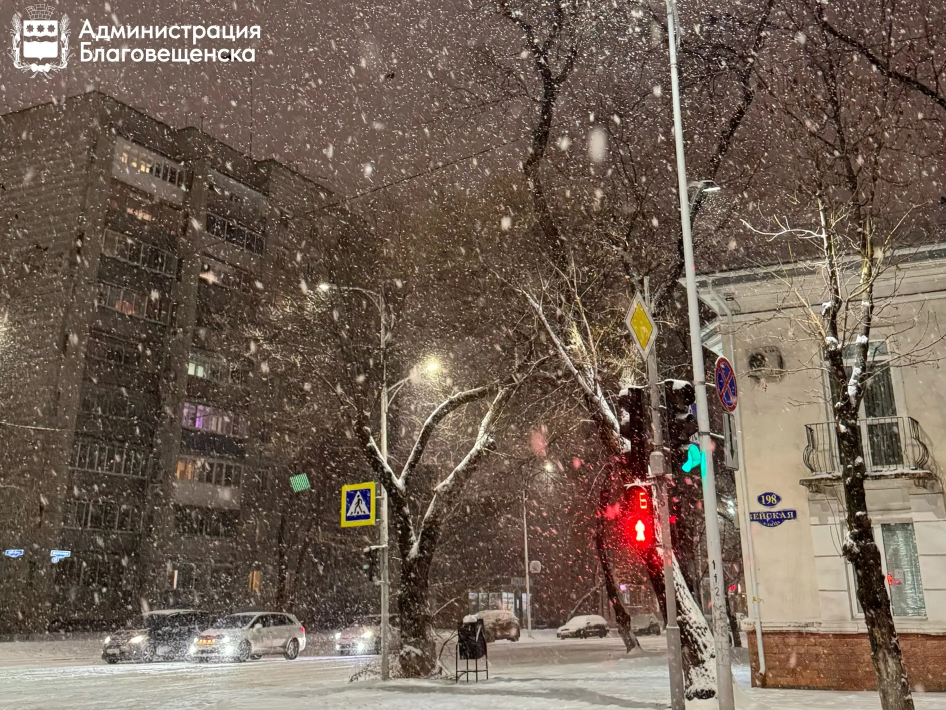 В Благовещенске 28 марта вводят режим повышенной готовности. В городе ожидаются осадки и сильный ветер 