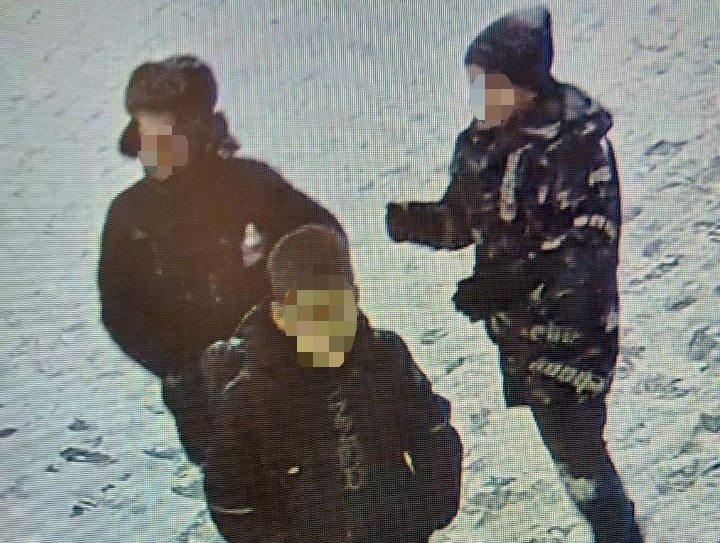 В Благовещенске вандалы перенесли урок анатомии из школы на улицу В Благовещенске вандалы перенесли урок анатомии из школы на улицу