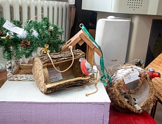 Юные благовещенцы смастерили кормушки для птиц 