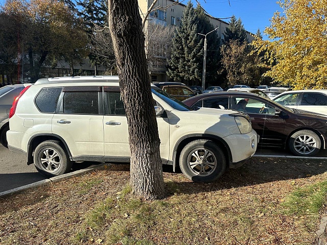 Парковка стоимостью 850 тысяч рублей: мэр Благовещенска Олег Имамеев назвал сумму штрафов, которую заплатят городские водители за порчу газонов