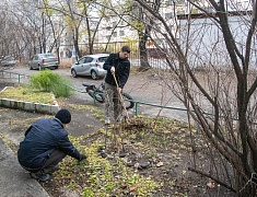 В Благовещенске проходит осенний этап «Города берегу»