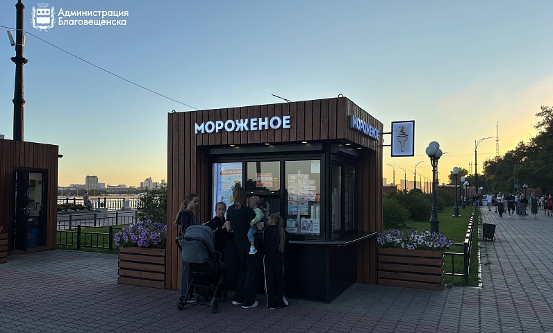В Благовещенске к единому стилю привели почти три сотни нестационарных торговых объекта 