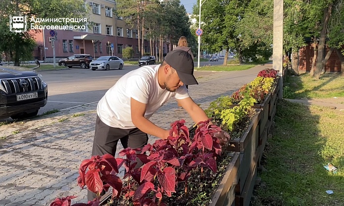 Оазис посреди городской суеты: предприниматель украшает территорию возле своего павильона
