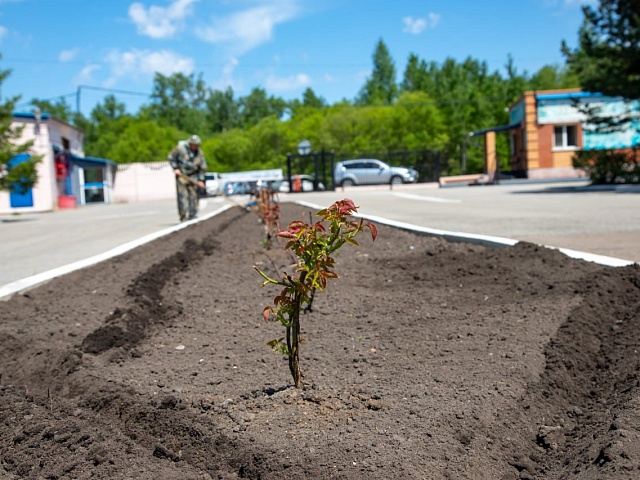 В Благовещенске обсудили «зеленые» вопросы