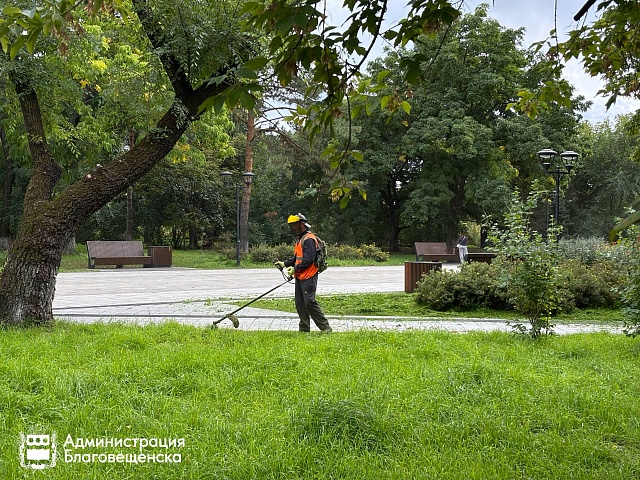 Зелёное «лицо» города: как коммунальные службы поддерживают порядок на общественных пространствах