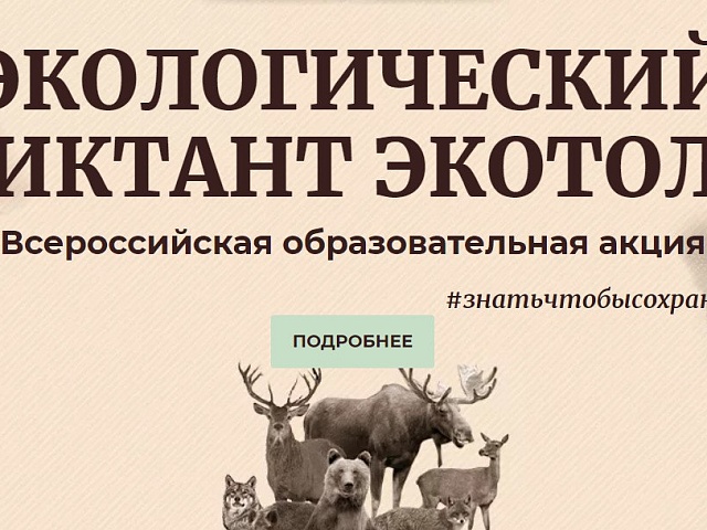 Благовещенцев приглашают присоединиться к международному экодиктанту!