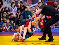Открытое первенство Благовещенска по спортивной борьбе «VII Наследие ТРОИ»