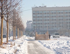 На площади Ленина приступили к оформлению зимнего городка