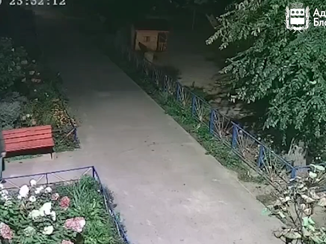 «Художник уголовного дела»: городские полицейские расследуют дело по факту порчи городских зданий и сооружений