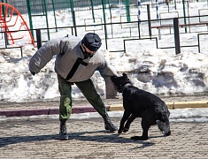 Школы Благовещенска принимают якутских юнармейцев