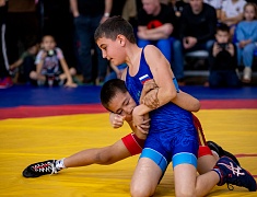 Первенство по вольной борьбе, посвященное памяти бойца СВО Владислава Мазуркова