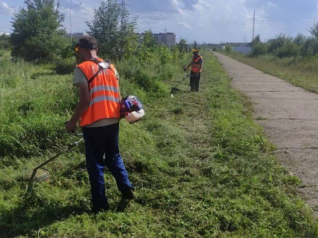 ГСТК продолжает косить траву в Благовещенске