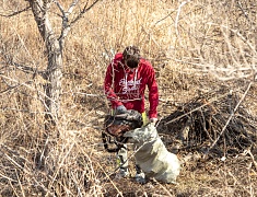 Волонтёры присоединились к экологической акции «Город берегу»