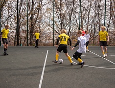 В селе Плодопитомник открылась новая спортивная площадка