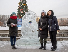 В Благовещенске подвели итоги детско-юношеского фестиваля ледовых скульптур «Волшебный лёд Амура»