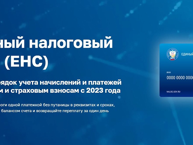 Более 45 тысяч запросов на формирование справок о состоянии ЕНС направлено в УФНС России по Амурской области