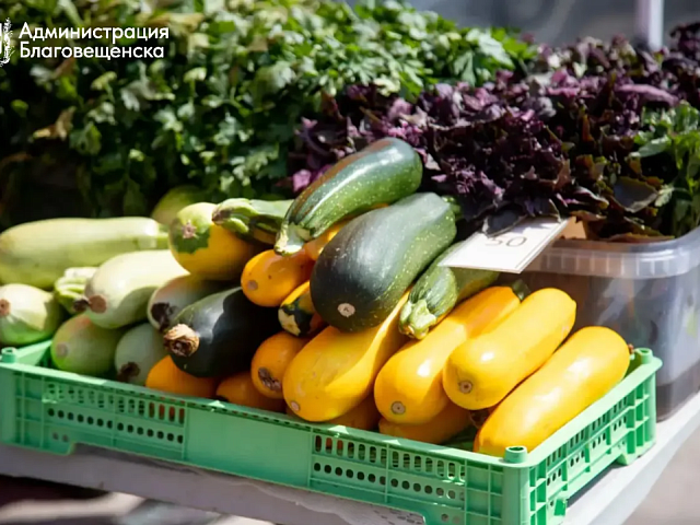 200 тысяч рублей штрафов выписали «предпринимателям» за незаконную торговлю на улицах Благовещенска 