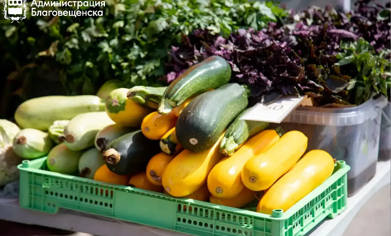 200 тысяч рублей штрафов выписали «предпринимателям» за незаконную торговлю на улицах Благовещенска 