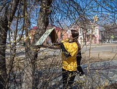 В Благовещенске прошел «здоровый» субботник
