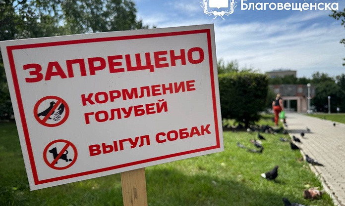 Кормление голубей запрещено: в одном из скверов Благовещенска установили информационные таблички