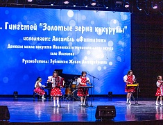 Гала-концерт фестиваля "Амур звучит!"