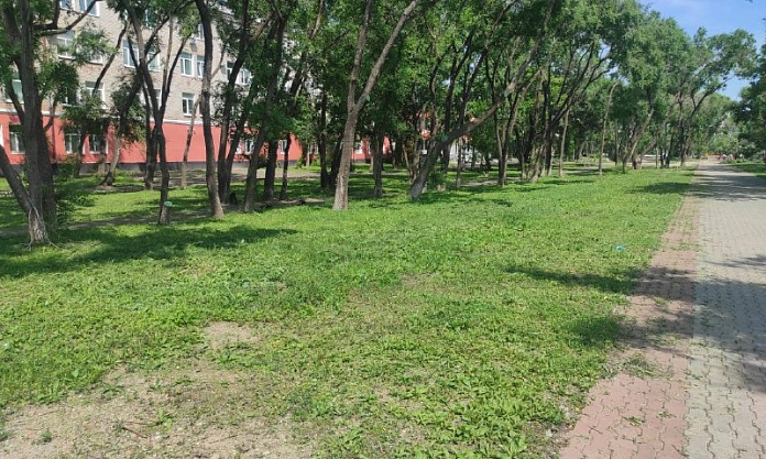 В Благовещенске идет сезонный покос травы