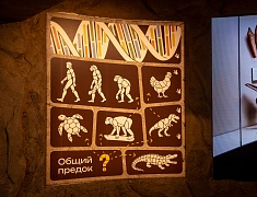 Первый интерактивный Динопарк на границе с Китаем открыли в Благовещенске