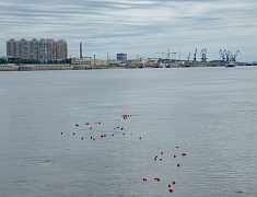 Акция "Цветы на воде"