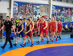«Новогодний кубок» по вольной борьбе