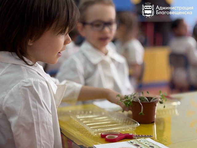 Редиска, пшеница и горох: воспитанники детского сада «Фантазия» выращивают микрозелень