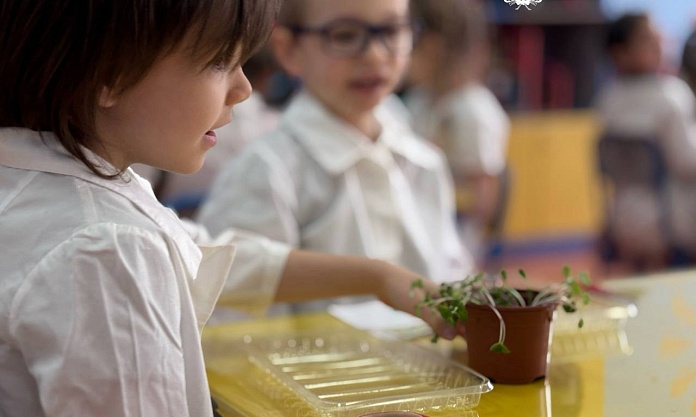 Редиска, пшеница и горох: воспитанники детского сада «Фантазия» выращивают микрозелень