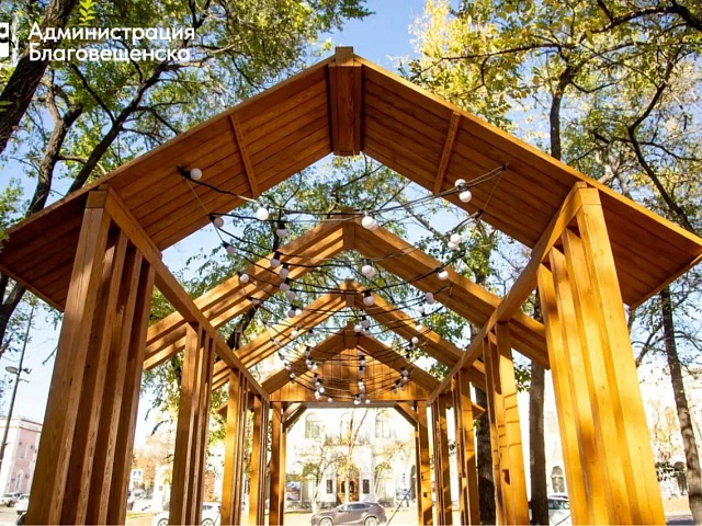 Благовещенцев призывают выбрать территории для благоустройства по президентскому нацпроекту 