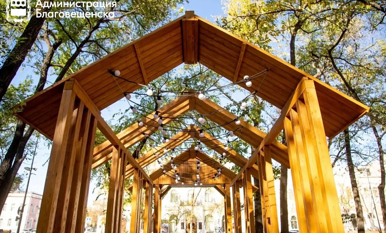 Благовещенцев призывают выбрать территории для благоустройства по президентскому нацпроекту 