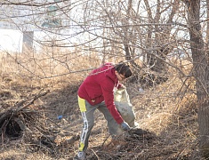 Волонтёры присоединились к экологической акции «Город берегу»
