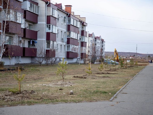 Зачем осенью высаживают саженцы? На этот вопрос ответили в городском управлении ЖКХ