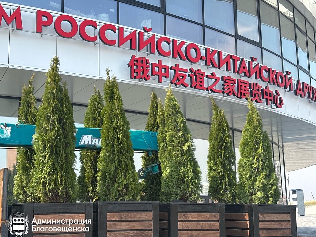 Территорию Трибуны Холл озеленили краснодарскими туями