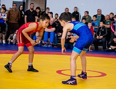 Первенство по вольной борьбе, посвященное памяти бойца СВО Владислава Мазуркова