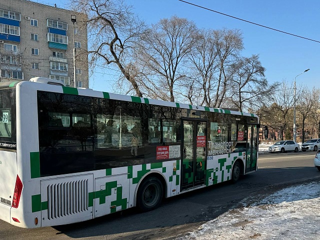 Более шестисот тысяч поездок со скидкой совершили благовещенцы с начала года 