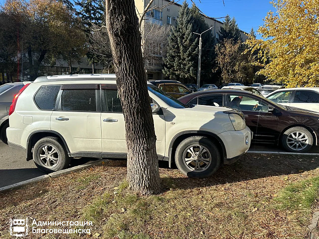 С начала апреля за парковку на газонах в Благовещенске выписано штрафов на 120 тысяч рублей
