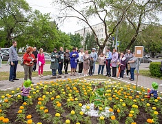 Фестиваль цветов «Город в цвете»