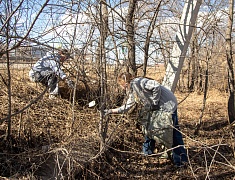 Волонтёры присоединились к экологической акции «Город берегу»